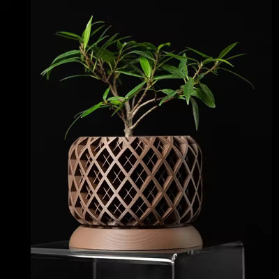 3D Printed Biodegradable Irregular Geometry Flower Pot for Home Decor