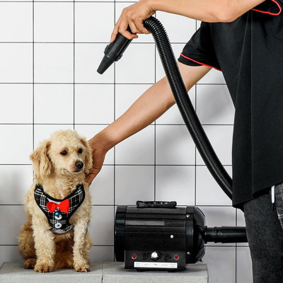 shop grooming & hygiene.