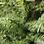 3ft (90cm) Mini Plain Green PVC Christmas Tree in a Jute Bag