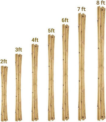 3ft Bamboo Plant Support Pack of 40 Garden Canes - 6