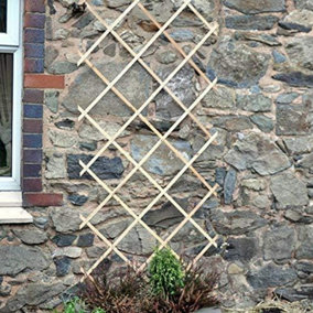 3ft x 6ft Expanding Wooden Garden Trellis Home and Garden Decorations Robust Climbing Plant & Vegetable Support
