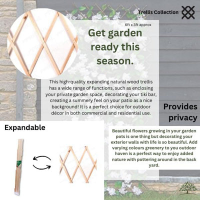 3ft x 6ft Expanding Wooden Garden Trellis Home and Garden Decorations Robust Climbing Plant & Vegetable Support - 4