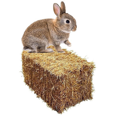 3kg (2 Bags) Soft Flake Barley Straw Medium Animal Bedding For Rabbit ...
