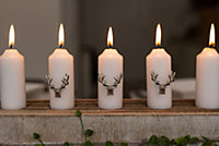 3pc Christmas Stag Candle Pins