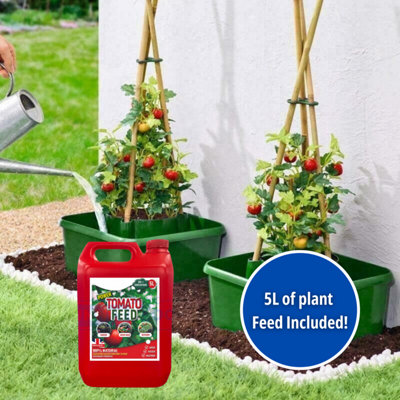 3pc Tomato Plant Pots Plant Supports Outdoor Indoor With Tomato Plant Feed