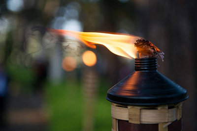 3x Citronella Torch Lamp Oil Natural Citronella Oil For Outdoor Oil Lanterns 1L