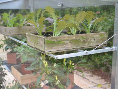 4 Feet Midi Growhouse - Aluminium/Glass - L121 x W65 x H117 cm - Anthracite - 6