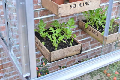 4 Feet Wall Frame/Growhouse - Aluminium/Glass - L121 x W63 x H149 cm - Without Coating - 6