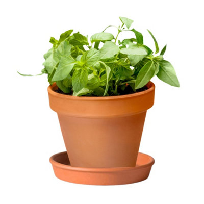 4 Large Terracotta Plant Pots - 15cm Clay Planter for Indoor & Outdoor Plants, Succulents and Crafts