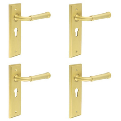 4 PACK Elegant Satin Brass Door Handle with Euro Backplate for Stylish Interiors - Solid Brass Interior Handle