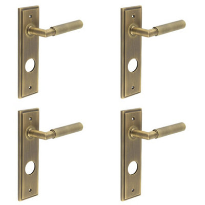 4 PACK Luxury Antique Brass Door Handle with Backplate for Bathrooms - Solid Brass Interior Handle
