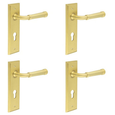 4 PACK Luxury Satin Brass Door Handle with Euro Backplate - Solid Brass Interior Handle
