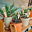 4 Packs of 10 Wooden Bamboo Plant Labels With Pencil Garden Pot Markers 10cm