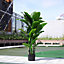 4 Trunk Artificial Fortune Tree Indoor Decorative Plant in Black Pot 190 cm