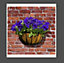 4 x 16 Inch Wall Basket Coco Liner Pre-moulded Natural Garden Plant Basket Liner