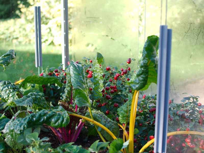 4 x 4 Feet Cold Frame - Aluminium/Glass - L121 x W121 x H82 cm - Anthracite - 3
