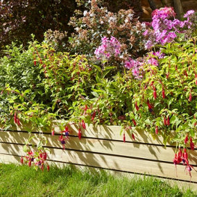 4 x Rowlinson Ledbury Slat Border Wooden Garden Fence Path Grass Lawn Edging 8"