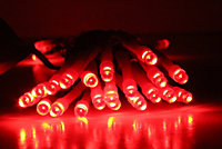 40 LED Indoor Battery String Lights 4M Length Party Fairy Christmas / Red / Clear Cable