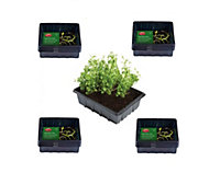 40 Small Seed Trays Half Size Plastic Seeding Starter Tray Reusable 21.5 x 17cm