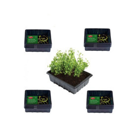 40 Small Seed Trays Half Size Plastic Seeding Starter Tray Reusable 21.5 x 17cm