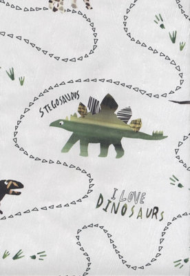 Zed Décor Dinosaurs Kids Green Wallpaper 0521810 from B&Q