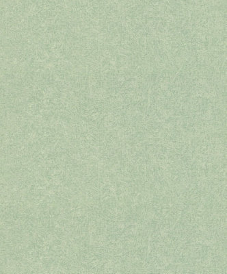 Rasch Paperhangings Non Woven Green Wallpaper554472 from B&Q