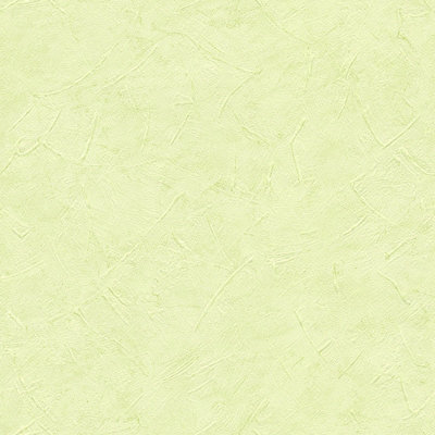As Creation Bricoflor Paper WallpaperPlain Wallpaper In Green10,05 X 0,53 M from B&Q