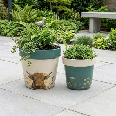  - Duo Highland Cow Planter Pot Set