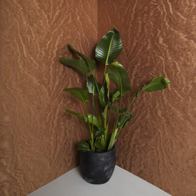 Galerie Eclectic Bronze Metallic Look Wallpaper from B&Q