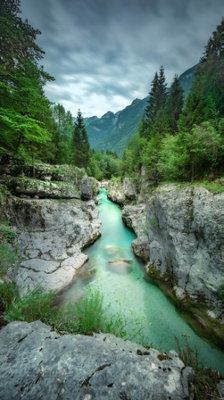 Erismann River Through The Forest- One Roll Digital Mural from B&Q