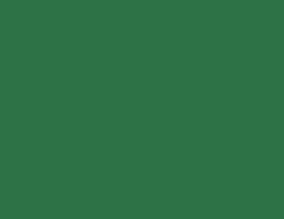 D-C-Fix Green X 45Cm D C Fix Matt Sticky Back Plastic Self Adhesive Vinyl Film Wrap 1M