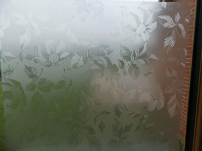 D-C-Fix Privacy Frosty Frosted Leaf Flower Glass Window Sticky Back Plastic Vinyl Film 1M X 45Cm from B&Q