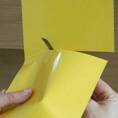 D-C-Fix Alkor Plain Lemon Glossy Yellow Sticky Back Plastic Self Adhesive Vinyl Film 1M X 45Cm from B&Q