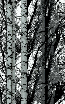 D-C-Fix Woodland Print Sticky Back Furniture Wrap (L)200Cm (W)67.5Cm from B&Q
