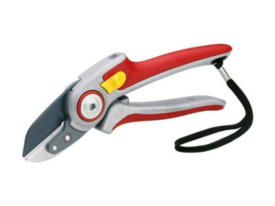 B&Q -  Professional Anvil Aluminium Secateurs (Rs5000)