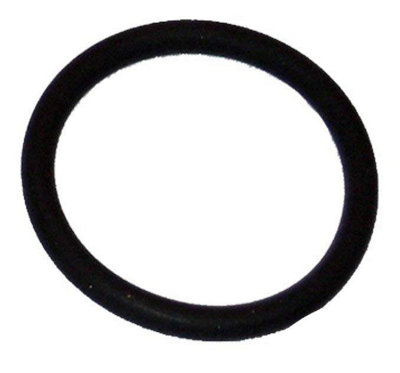 Oase Quartz Sleeve O-Ring Replacement 73481 For Pond Filters And Uvcs from B&Q