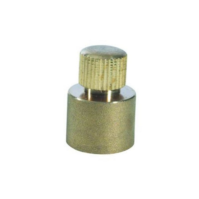 Plumbright Endfeed Air Release Stop End 15mm Av15 from B&Q