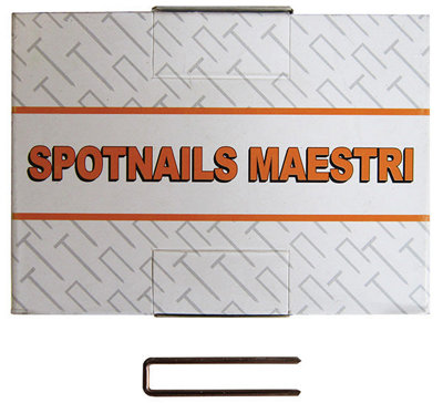 Spotnails Maestri Me606 Staples22mmPack Of 4800 from B&Q
