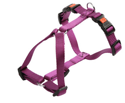 Kerbl Harness Miami Purple 55-76 Cm20 mm