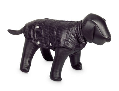 Nobby Danika Dog Coat Black With Silver Dots 32Cm from B&Q