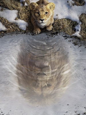 B&Q -  Disney Mufasa The Lion King Wall-Picture30Cm X 40Cm