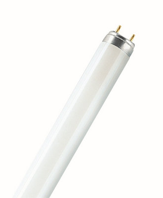 Osram T8 18W 2Ft 830 Warm White Fluorescent Tube from B&Q