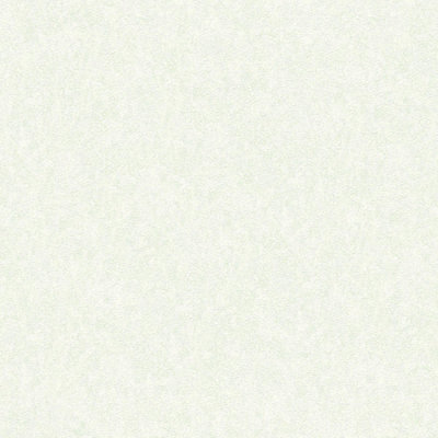 As Creation Bricoflor Pale Green Vinyl Textured Plain Wallpaper 10.05 X 0.70 M from B&Q