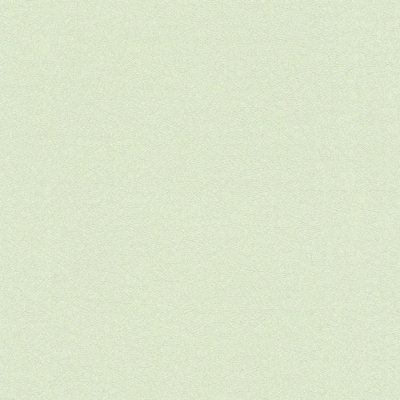 As Creation Bricoflor Non-Woven WallpaperPlain Wallpaper In Green10,05 X 0,53 M from B&Q
