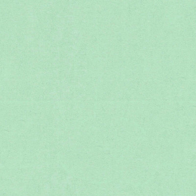 As Creation Bricoflor Mint Green Plain Textured Wallpaper Scrubbable Non-Woven Vinyl Wallpaper 10.05 X 0.70 M from B&Q
