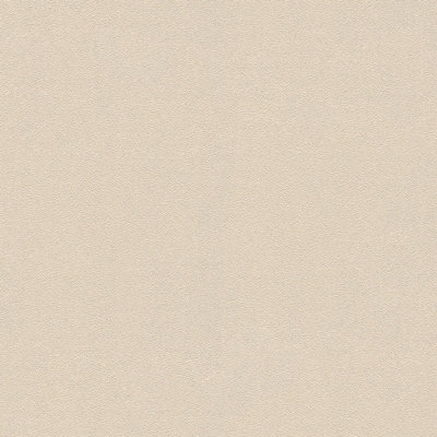 As Creation Bricoflor Light Brown Caramel Wallpaper Neutral Plain Wallpaper 10.05 X 0.53 M from B&Q