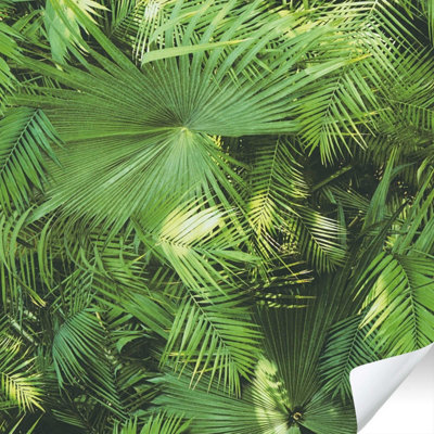 As Creation Bricoflor Non-Woven WallpaperLeaf & Palm WallpaperJungle & Tropical In Green8,40 X 0,53 M from B&Q