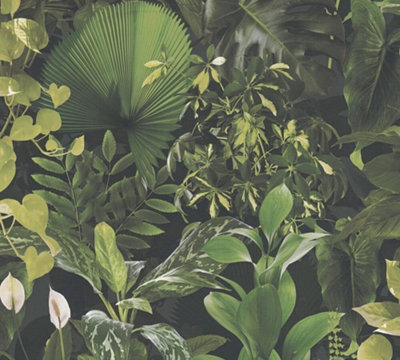 As Creation Tropical Jungle Dark Green Plants Leaves Wallpaper Paste The Wall