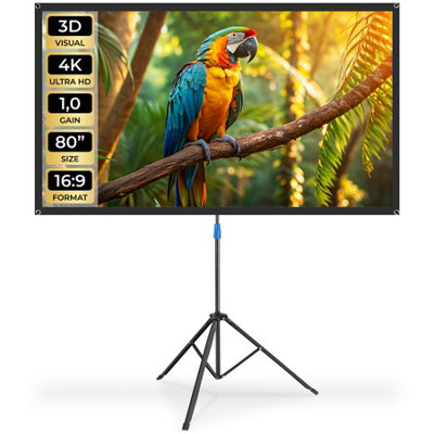 Tectake Cinema Projector Screen With Foldable Tripod16:94KHd 177 X 100 CmWhite from B&Q