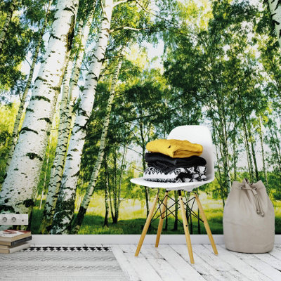 Anaglypta Sunshine Forest Mural384X260Cm5429-8 from B&Q